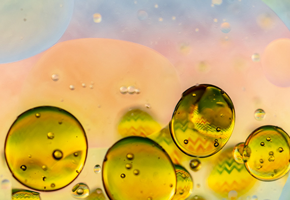 yp街机·电子游戏(中国)最新官网